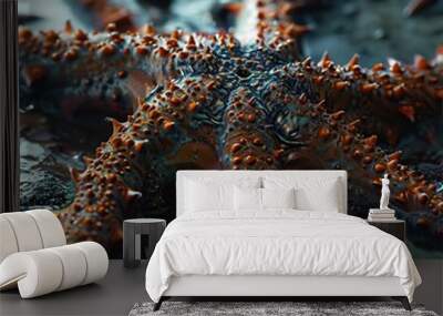 alien starfish on black background. Close-up. 3d Wall mural