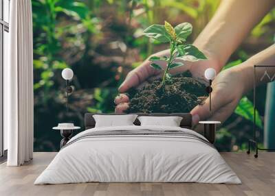 closeup of hands holding soil with a plant growing Wall mural