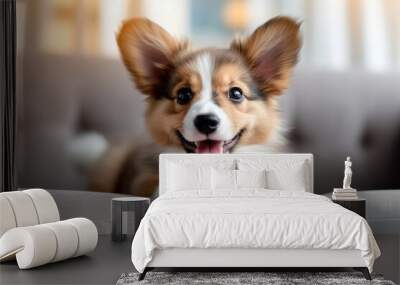 Cute welsh corgi puppy lying on the sofa at home Wall mural