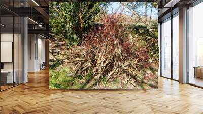 Heap of wood faggots in a garden after trimming a tree Wall mural