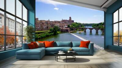 albi Medieval city and brick bridge in panoramic river Tarn in Occitanie France Wall mural