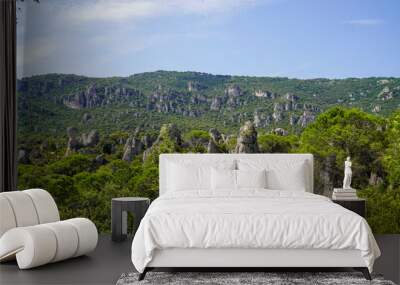 dolomites of Moureze landscape Herault with rock peaks in forest french Wall mural