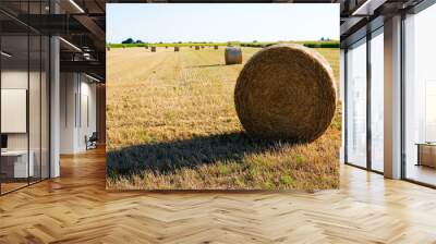 harvested bales of straw in field on farmland Wall mural