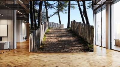 pathway wooden fence access paradise summer beach on sunny day Wall mural