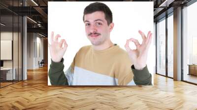 Portrait of handsome mustache  man smiling and showing ok fingers sign at camera isolated over white background Wall mural