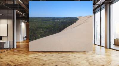 pyla french Dune du Pilat and pine forest in Gironde soutwest France Wall mural