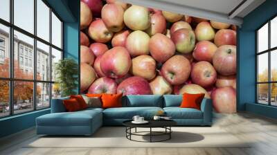 red yellow ripe apples as fresh apple round background Wall mural