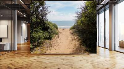 sand pathway access to french sea coast of atlantic beach in summer day Wall mural