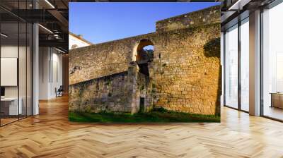 side arch entrance in fortress mediaeval in Bourg sur gironde france Wall mural