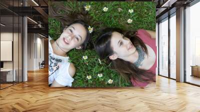 Top view of young girls relaxing on the grass Wall mural