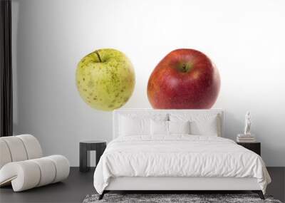 Two apples, young and old as a metaphor for aging. On a white background. Wall mural