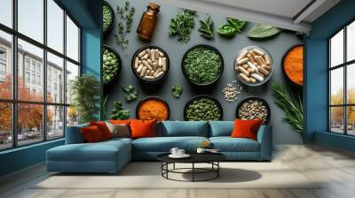 Flat lay of various herbs, supplements, and ingredients on a grey background Wall mural