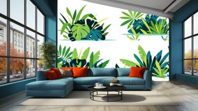 Decorative compositions of different jungle plants on ground, group of green plants isolated, dense vegetation of the jungle Wall mural