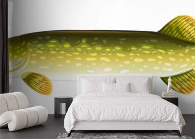 Realistic pike fish isolated illustration, one freshwater fish on side view Wall mural