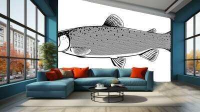 Realistic rainbow trout fish isolated illustration, one freshwater fish on side view Wall mural