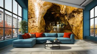 Limestone cave system Wall mural