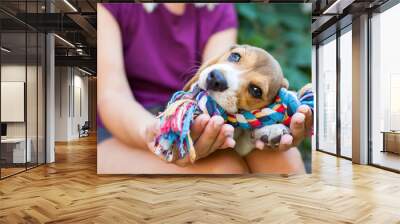 Cuddling with beagle puppy Wall mural