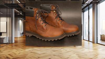 Pair of new winter boots Wall mural