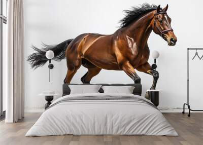 Powerful brown horse running at full speed on white background, dynamic motion Wall mural