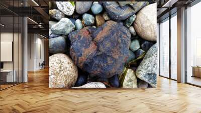 A variety of volcanic cobble stones on the beach in the Pacific Northwest Wall mural