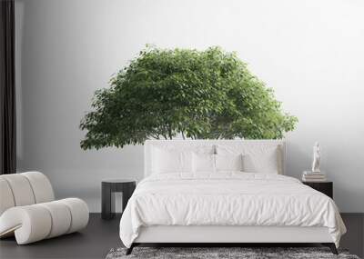 tree of nature mockup Wall mural