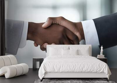 Two professionals engage in a decisive handshake as a symbol of agreement and partnership, demonstrating business success and mutual understanding in a corporate setting. Wall mural