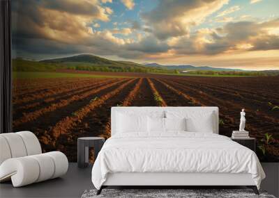 Plowed agricultural field at sunset with distant mountains and cloudy sky Wall mural