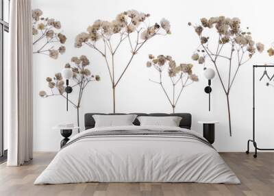 flat pressed dried flower pattern babybreath flower Wall mural