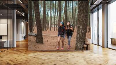 Two friends hiking in pine wood forrest Wall mural