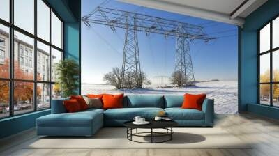 high voltage cable Wall mural