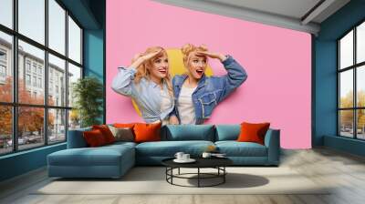 Image of two young happy shoked girlfriends women. Twins Peeping through a pink hole in the wall. Big Discount Season. Copy space for text Wall mural