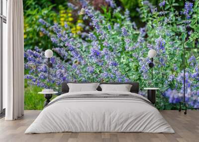 close up of lavender flower Wall mural