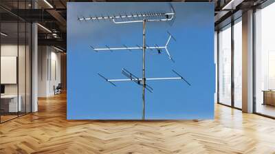 antenna Wall mural