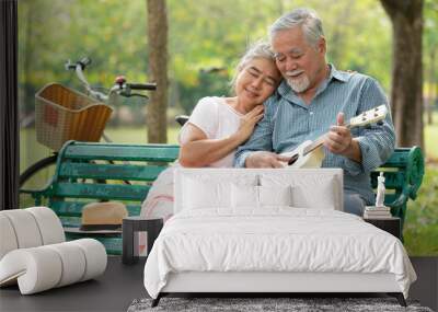 senior couple in love and playing ukulele in the park Wall mural