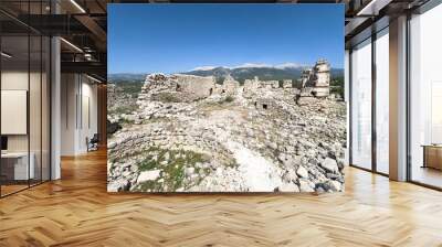 Tlos is an ancient ruined Lycian hilltop citadel near the resort town of Fethiye in the Mugla Province of southern Turkey Wall mural