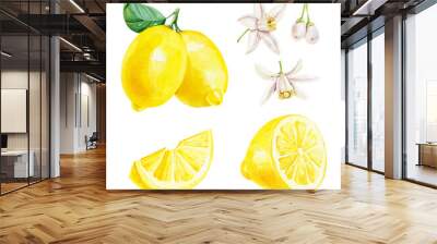 Lemon watercolor illustration. Citrus fruit branch lemon, lemon slice and flowers, lemon set isolated on white Wall mural