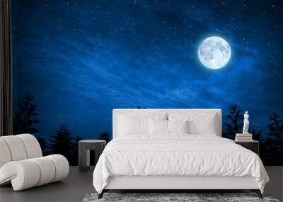 forest in silhouette with starry sky , Elements of this image are furnished by nasa Wall mural