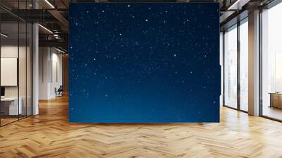 starry night sky fully with the stars Wall mural