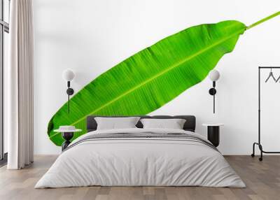 Green fresh banana leaf isolated with clipping path. Wall mural