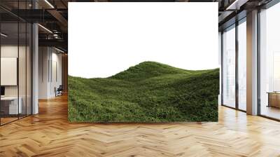 A 3d rendering image of grassed hill nature scenery Wall mural