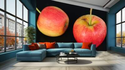 red sweet apple fruit Wall mural