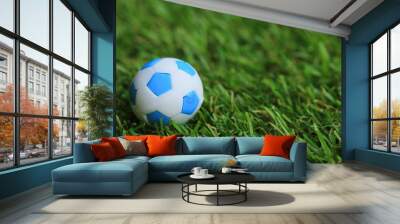 Soccer ball on field Wall mural