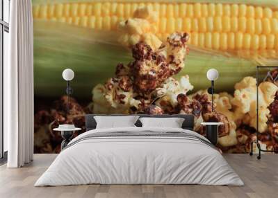 tasty popcorn and fresh corn Wall mural