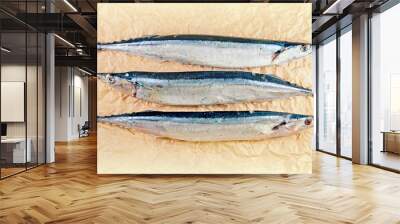 Pacific saury on the light crumpled paper Wall mural