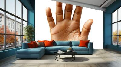 Outstretched hand showing palm, closeup on transparent background Wall mural