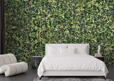 Seamless Tileable Natural Ground Field Texture Background Wall mural