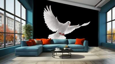 dove flying Wall mural