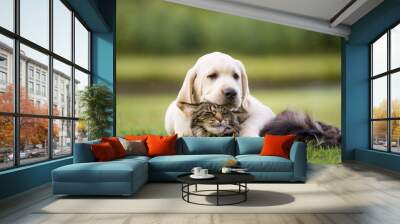 cute puppy an cat friendship Wall mural