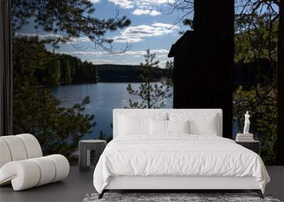 Finnish lake landscape in summer with a dark silhouette of a birdhouse and tree trunk in the foreground Wall mural