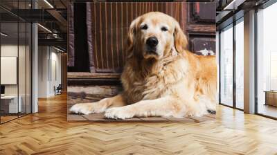 Dog guarding house entrance Wall mural